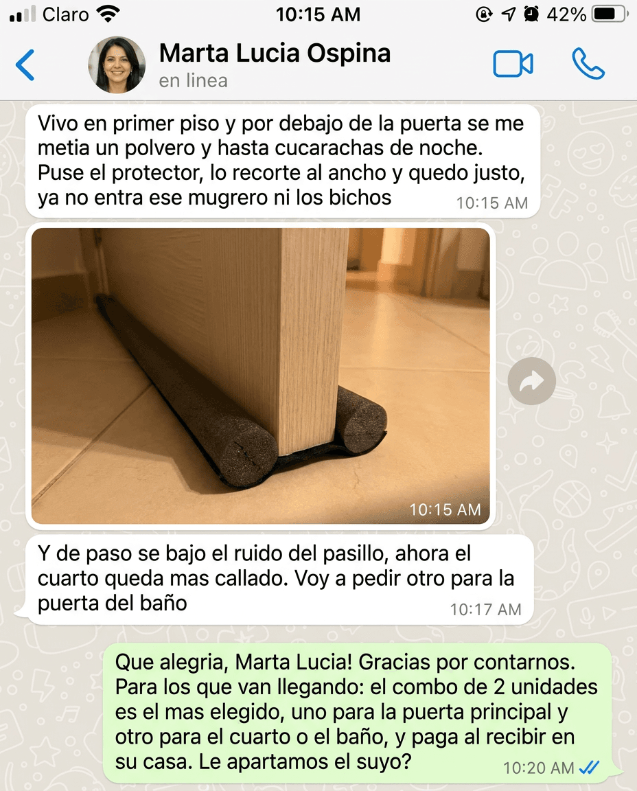 Protector de Puerta Doble — Sella Polvo, Insectos, Ruido y Frío — foto 7