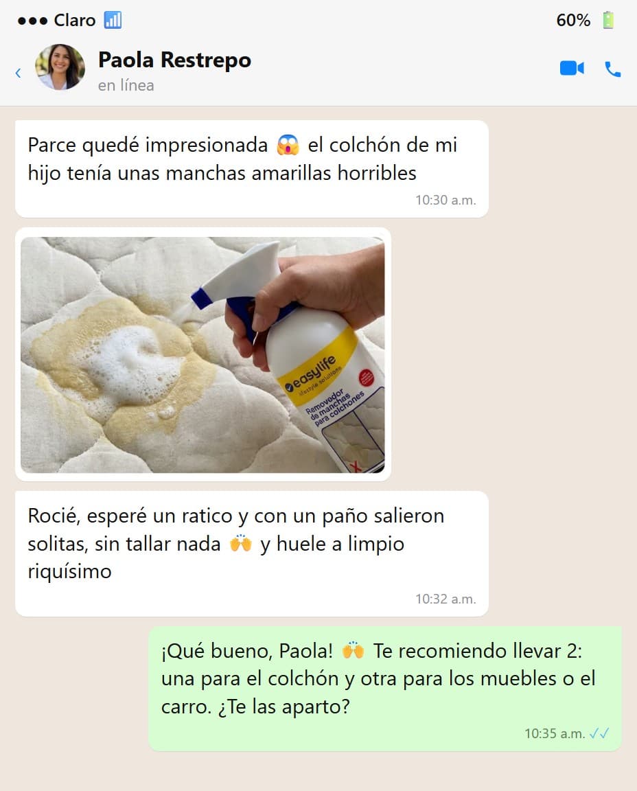 Easylife Removedor de Manchas para Colchones (500 ml) — foto 6